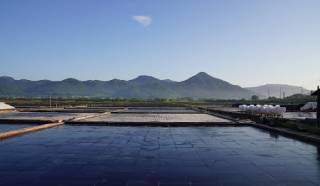 Gomso Salt Farm