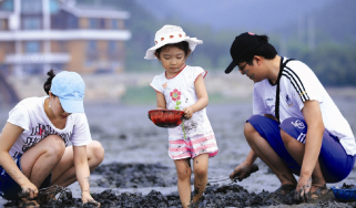 Tidal Flat Exploration