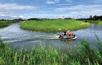 Buan Julpo Bay Mud Flat Ecological Park