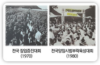 전국 잠업증진대회(1970), 전국양잠시범부락육성대회(1980)