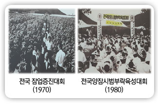 전국 잠업증진대회(1970), 전국양잠시범부락육성대회(1980)