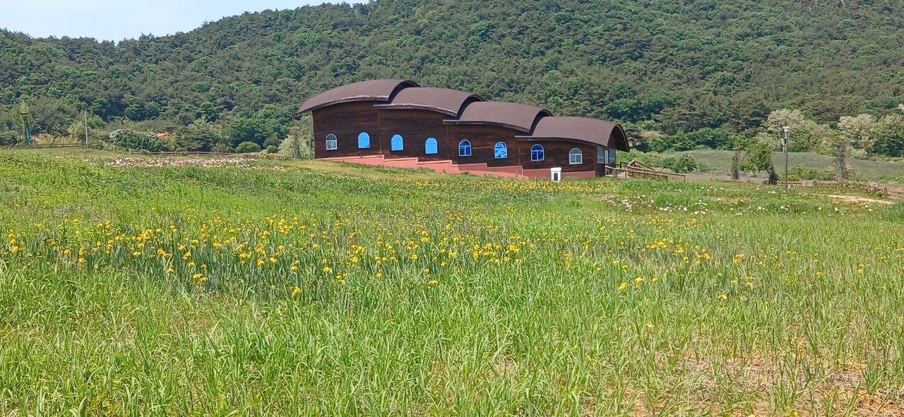 부안청자박물관에 작약꽃 보러 오세요!! 3번째 이미지