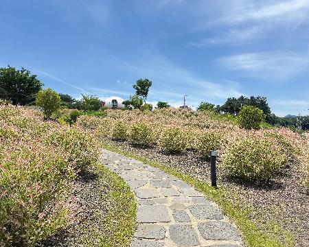 IMG_2367.jpeg