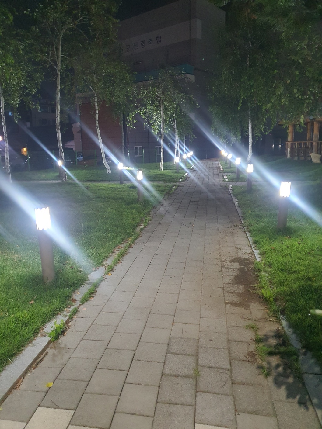 (구) 연곡공원  (솔바람길 산책로)  경관가로등 및 안심벨 설치 1번째 이미지