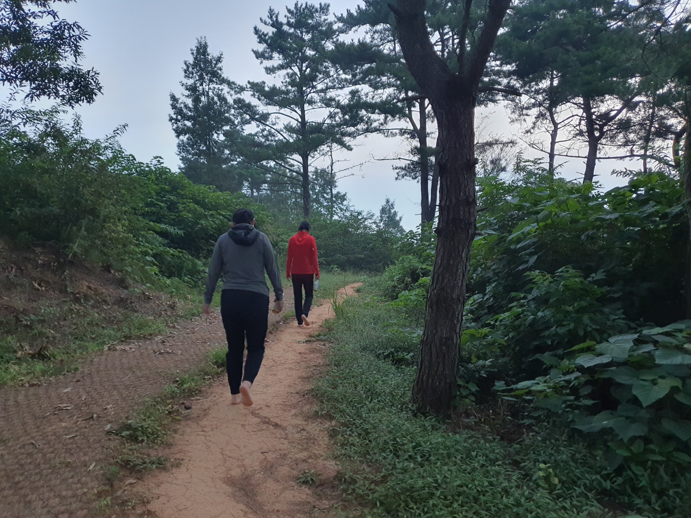 (구) 연곡공원  (솔바람길 산책로)  경관가로등 및 안심벨 설치 2번째 이미지