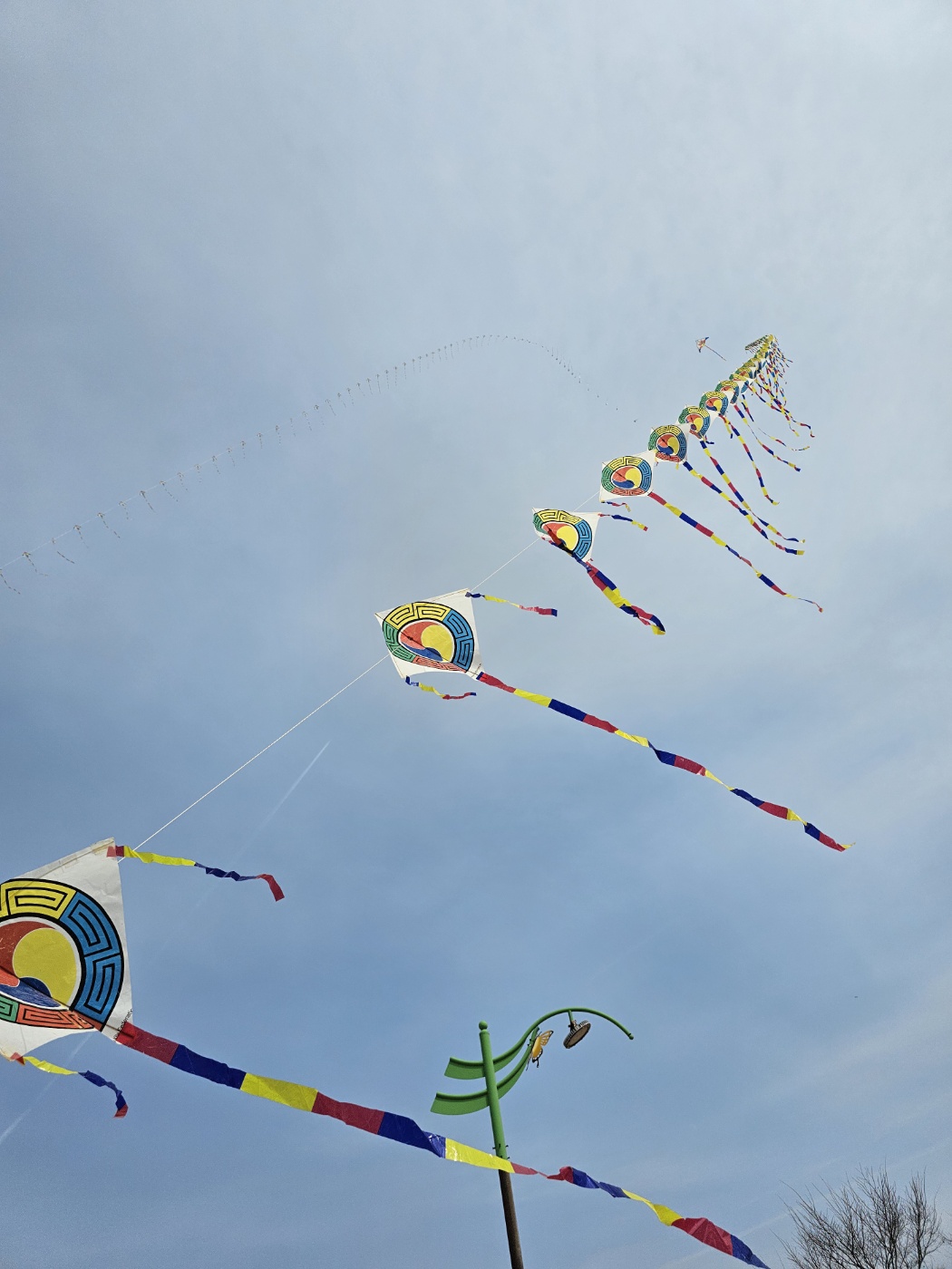 IMG_6421.JPG