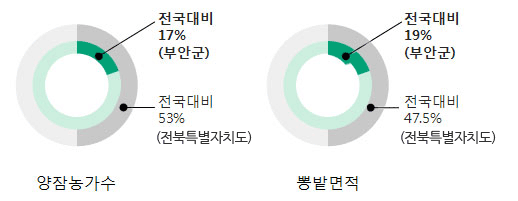 양잠농가수:전국대비17%(부안군), 전국대비53%(전북특별자치도) / 뽕밭면적:전국대비19%(부안군), 전국대비47.5%(전북특별자치도)