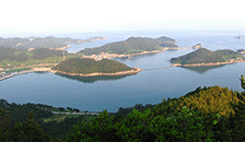 위도 등산로