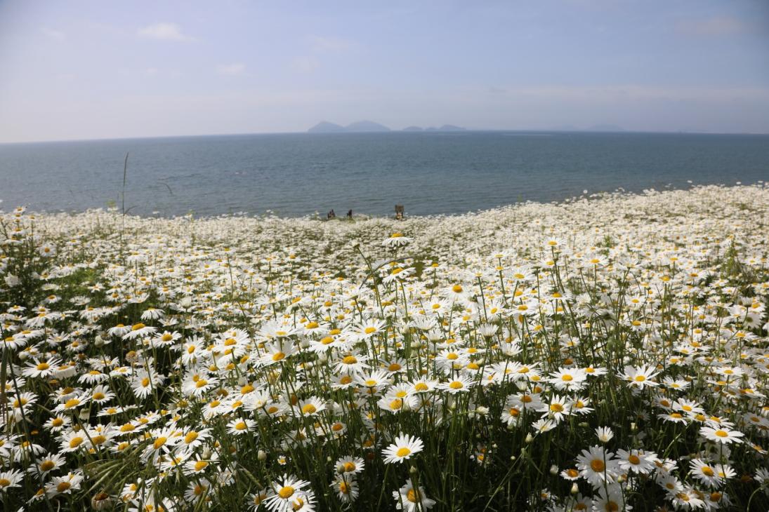 2코스 사진인증