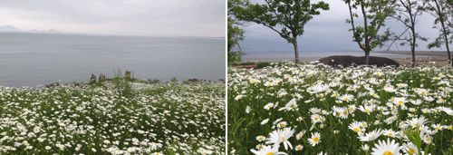 변산마실길 1~2코스