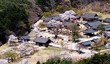 소사모종(蘇寺暮鐘)
