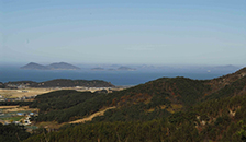 지포신경(浦神)