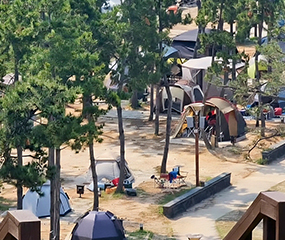 변산 해수욕장 캠핑장