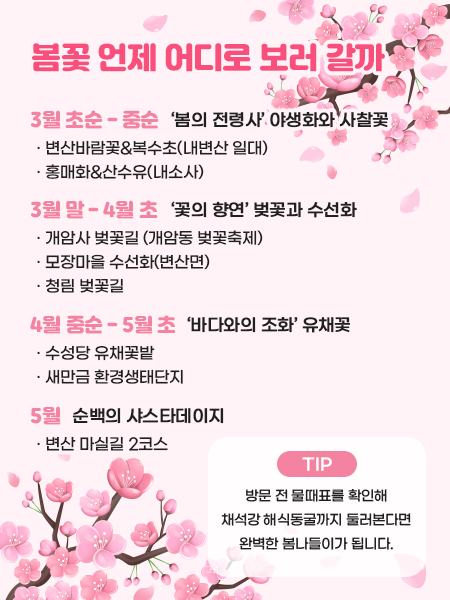 봄꽃 언제 어디로 보러갈까