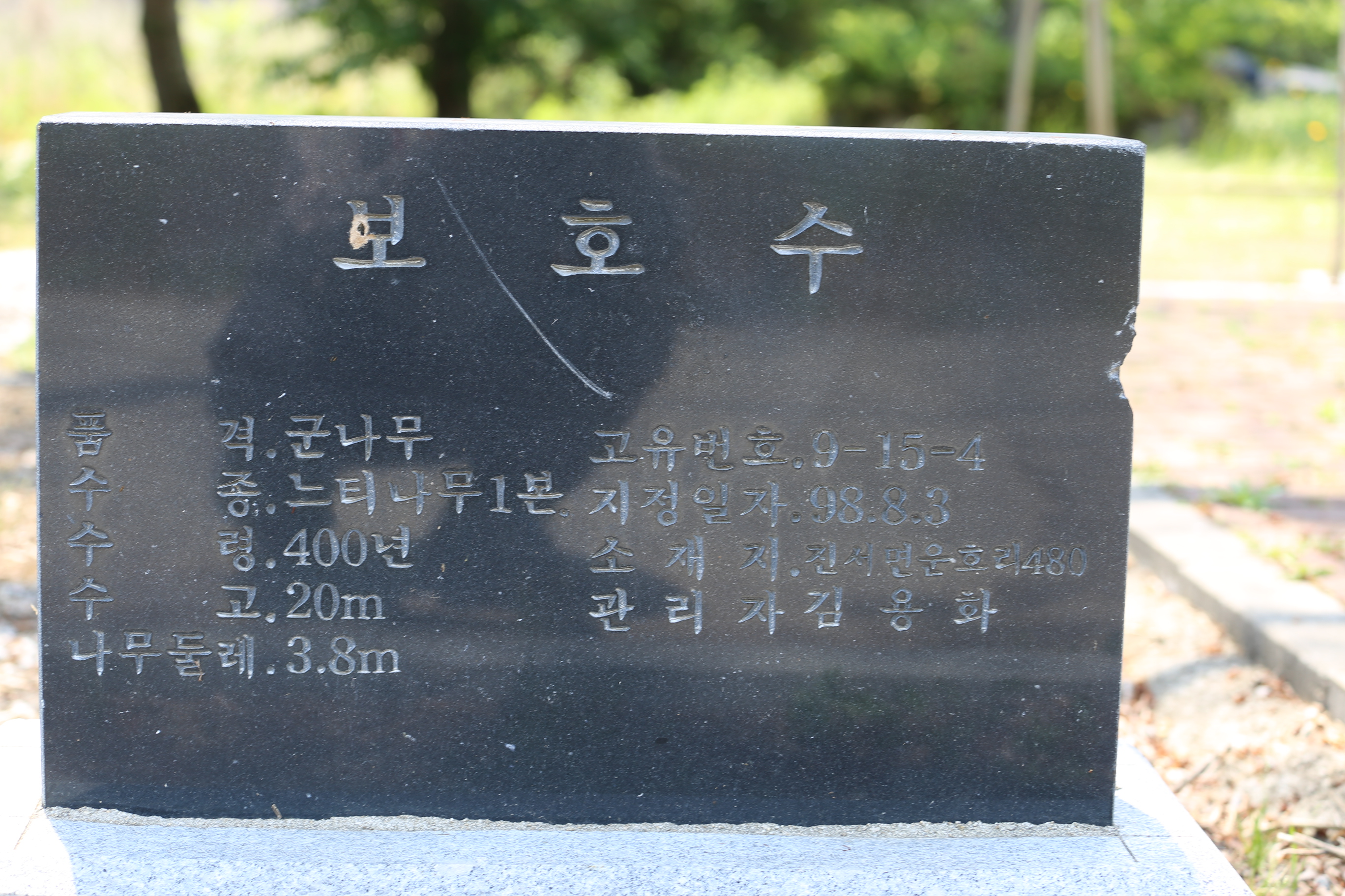 당산나무 살려주세요. 1번째 이미지