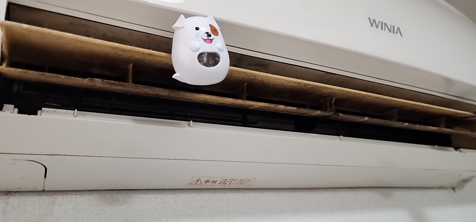 KakaoTalk_20251017_171912383_02.jpg
