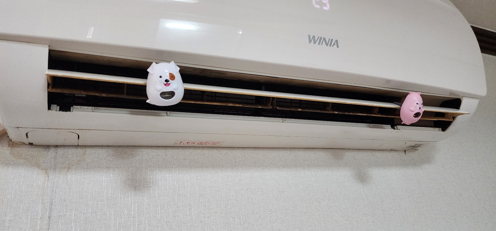 KakaoTalk_20251017_171912383_06.jpg