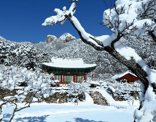 제5회전국부안관광사진공모전(개암사/가작)