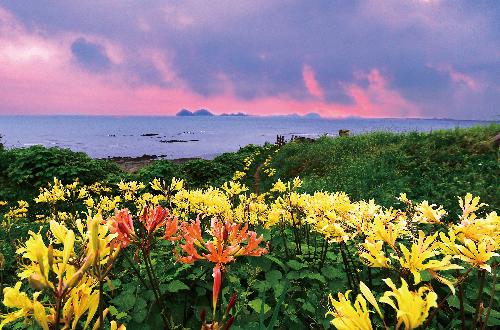 제5회전국부안관광사진공모전(변산마실길/입선)