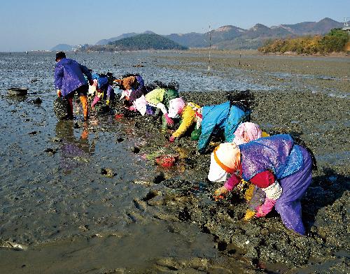 제5회전국부안관광사진공모전(곰소만/입선)