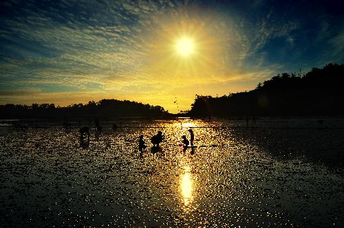 제4회부안관광사진공모전(두포해변일몰/입선)