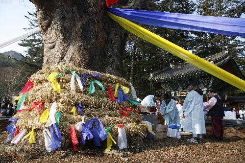 제4회부안관광사진공모전(당산제/입선)