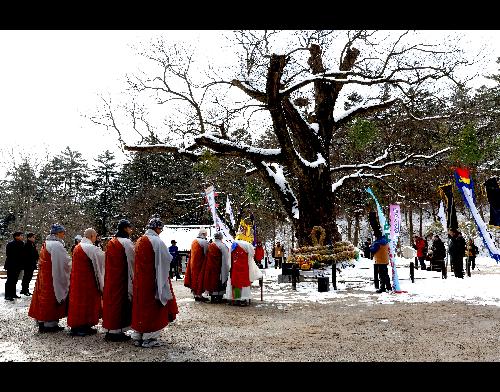 제4회부안관광사진공모전(내소사당산제/입선)