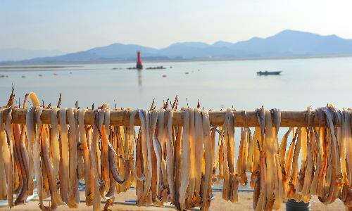 제4회부안관광사진공모전(곰소항소경/동상)