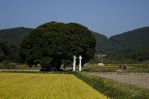 제4회부안관광사진공모전(격포리/입선)