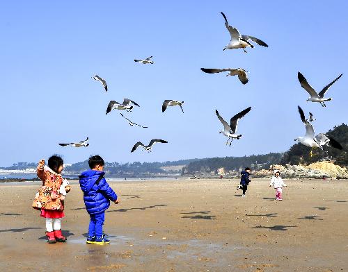 제4회부안관광사진공모전(갈매기와아이들/입선)