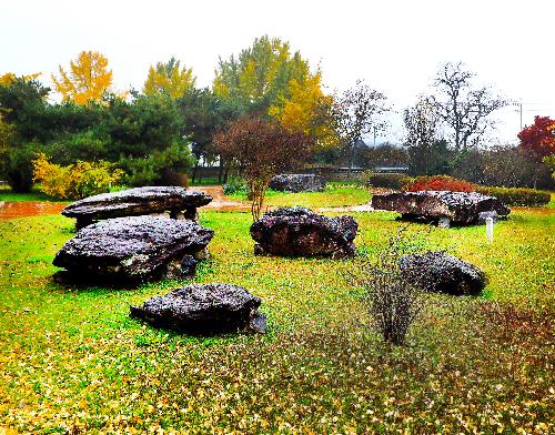 제6회전국부안관광사진공모전(구암리지석묘/입선)