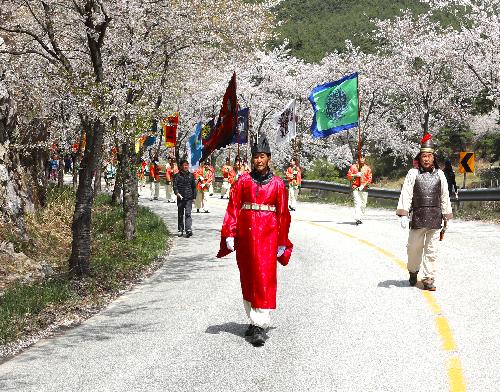 제6회전국부안관광사진공모전(개암사벚꽃축제/입선)