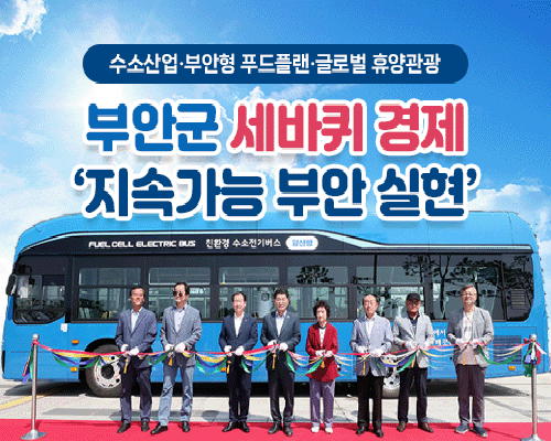 부안 세바퀴 경제 정책 이미지