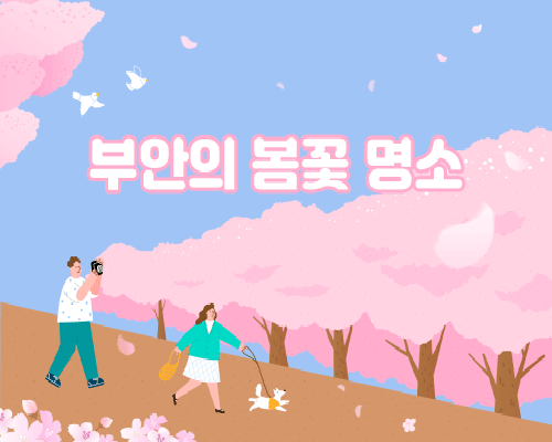 부안의 봄꽃 명소 이미지