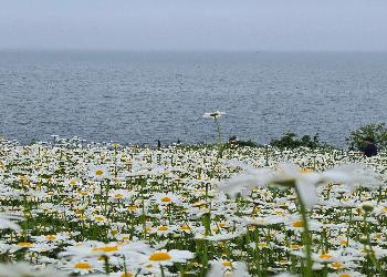 20250522_141315.jpg