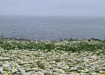 20250522_141315.jpg