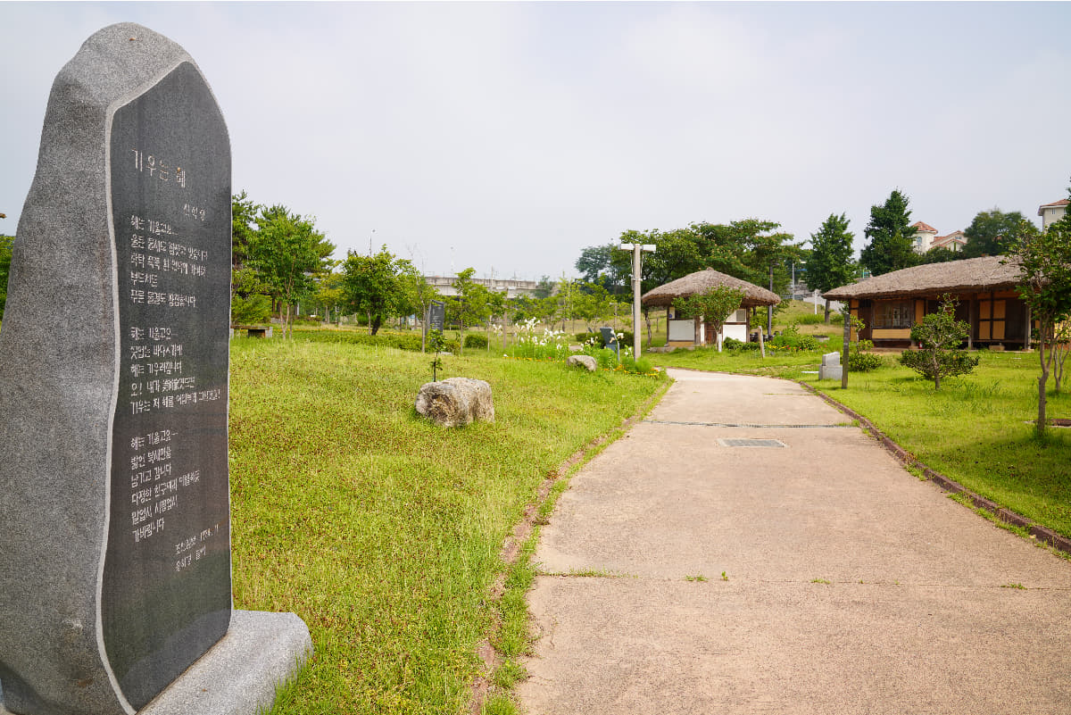 image_7.jpg