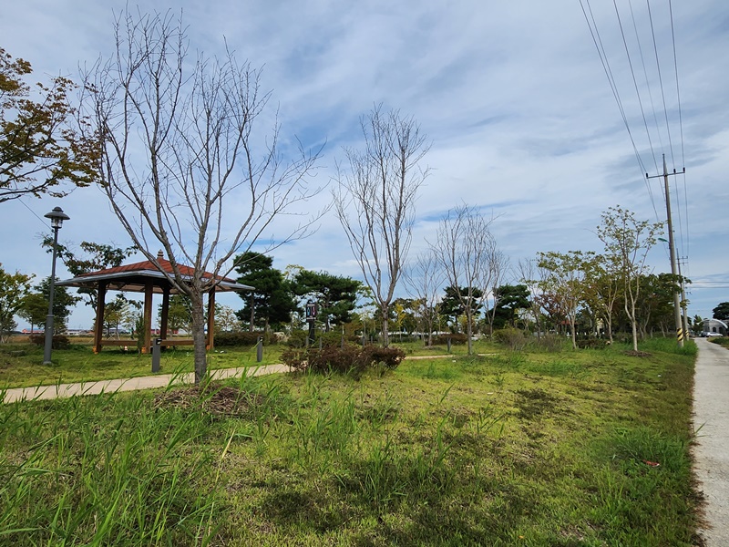 image_2.jpg