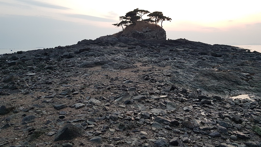 부안 도청리 솔섬
