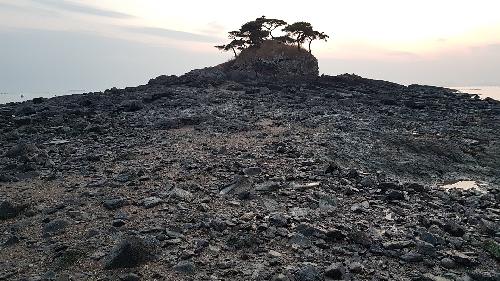 부안 도청리 솔섬