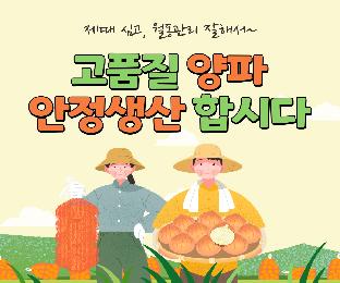 제때심고월동관리잘해서고품질양파안정생산합시다_page-0001.jpg