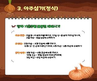 제때심고월동관리잘해서고품질양파안정생산합시다_page-0006.jpg