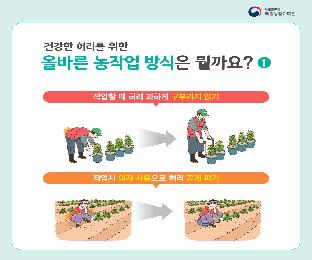 (카드뉴스)농업인허리질환이렇게관리하세요_page-0006.jpg
