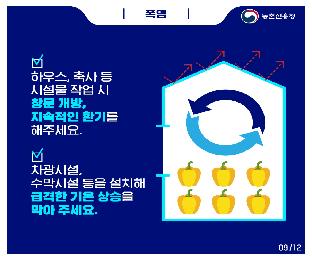 (카드뉴스)지금재설정_폭염(2021)_page-0009.jpg