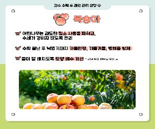 카드뉴스-과수수확후과원관리_page-0005.jpg