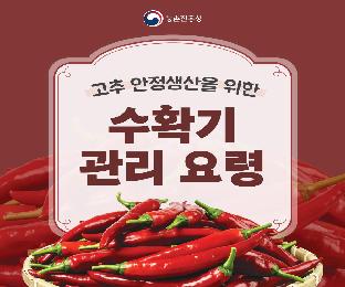 고추안정생산을위한수확기관리요령_page-0001.jpg