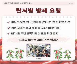 고추안정생산을위한수확기관리요령_page-0005.jpg