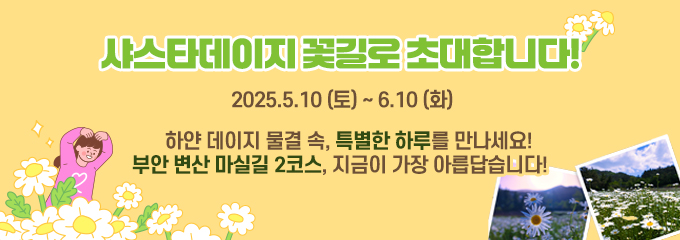 샤스타데이지 꽃길로 초대합니다!

2025.5.10 (토) ~ 6.10 (화)

하얀 데이지 물결 속, 특별한 하루를 만나세요!
부안 변산 마실길 2코스, 지금이 가장 아름답습니다!