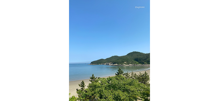 위도3