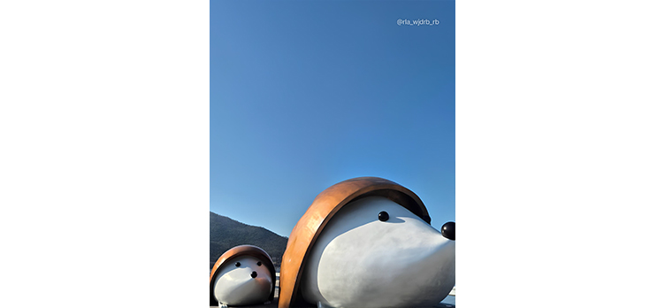 위도4
